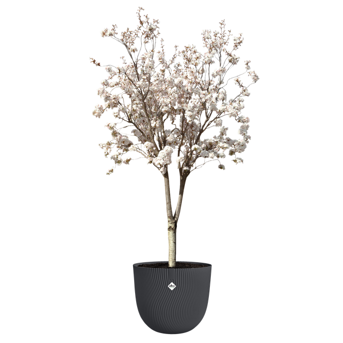 sereh round 60cm anthracite